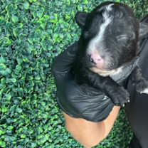 Thumbnail photo of 59991189 #1