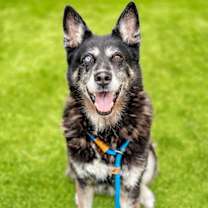 Thumbnail photo of KAYLA #1