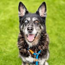 Thumbnail photo of KAYLA #2