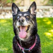 Thumbnail photo of KAYLA #3