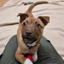 Thumbnail photo of Natale #2