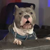 Thumbnail photo of Cain #2