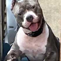 Thumbnail photo of Cain #4