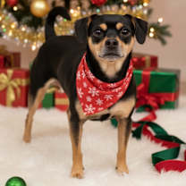 Thumbnail photo of Hades #1