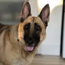 Thumbnail photo of Willow #4