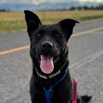 Thumbnail photo of Ricky #1