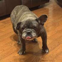 Thumbnail photo of Mabel #3