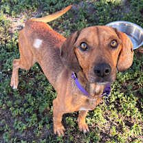 Thumbnail photo of Tony Hawk #1