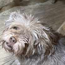 Thumbnail photo of Astoria #1