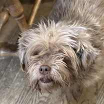 Thumbnail photo of Astoria #3