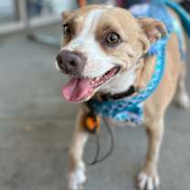 Thumbnail photo of Sissy #1