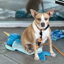 Thumbnail photo of Sissy #4