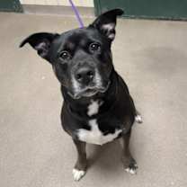 Thumbnail photo of Matana #2