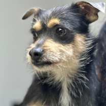 Thumbnail photo of Zeke #2