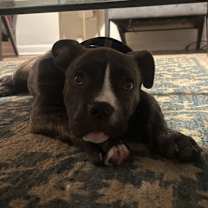 Thumbnail photo of Celia #3