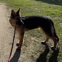 Thumbnail photo of Tara #4