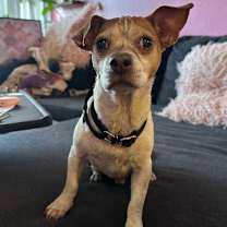 Thumbnail photo of Murphy #3