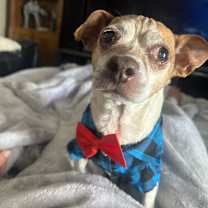 Thumbnail photo of Murphy #4