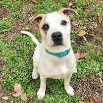 Thumbnail photo of Bingo AS #4