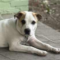 Thumbnail photo of Bingo AS #3