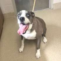 Thumbnail photo of Tuffy JuM #2