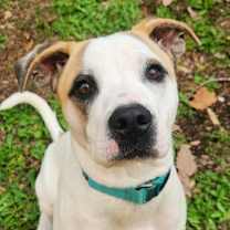 Thumbnail photo of Bingo AS #1