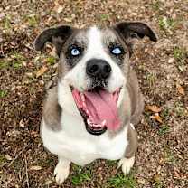 Thumbnail photo of Tuffy JuM #4