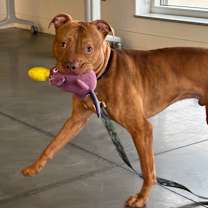 Thumbnail photo of Edward #2