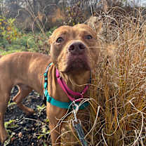 Thumbnail photo of Edward #3