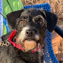 Thumbnail photo of Stray Hold - Destiny #3