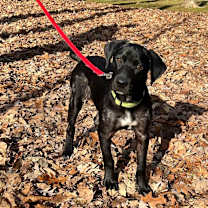 Thumbnail photo of Bingo #3