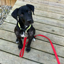 Thumbnail photo of Bingo #2