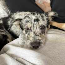 Thumbnail photo of Blanca #2