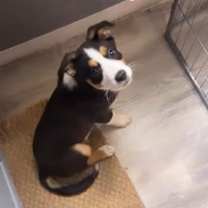 Thumbnail photo of Bailee #3