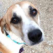 Thumbnail photo of LADY #4