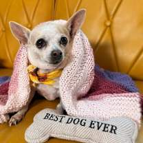 Thumbnail photo of Bianca Tello #1