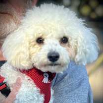 Thumbnail photo of Endearing, Energetic and Exqui #1