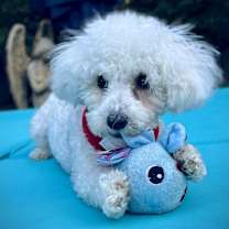 Thumbnail photo of Endearing, Energetic and Exqui #3