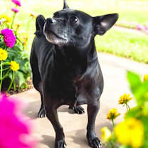 Thumbnail photo of Pete #4