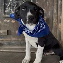 Thumbnail photo of Harry #4