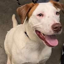 Thumbnail photo of Spencer #3