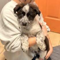 Thumbnail photo of Nedry #3