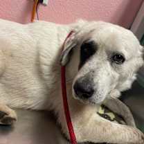 Thumbnail photo of Jake Pawl #2