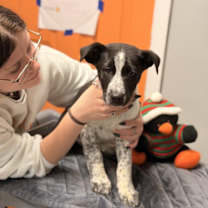 Thumbnail photo of Dern #2