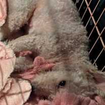 Thumbnail photo of Taylor #2