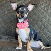 Thumbnail photo of Bessie #2