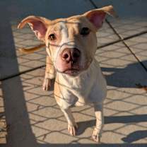 Thumbnail photo of CIARA #1