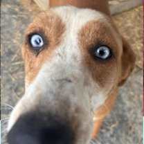 Thumbnail photo of Ruthie #2