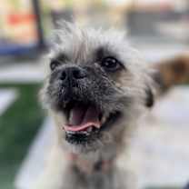 Thumbnail photo of Reba #1