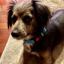 Thumbnail photo of Serene #1